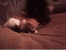 IMG 20151211 131442.jpg