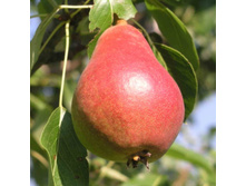 ����� ����-400�