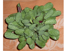 �������� Amagris (2).JPG