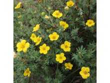 ���������� ��� «���� ������».jpg