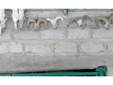 IMG 20151227 082846.jpg