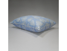 ������� ����.JPG