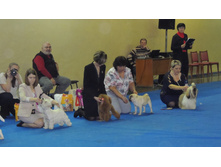 DSCN6247.JPG