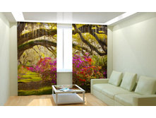 ������ �����.jpg