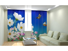 ����� � �������.jpg