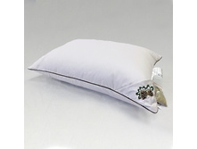 ������� �������� ����.jpg