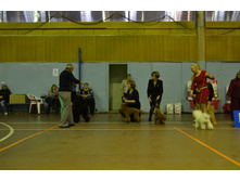 DSC 0872.JPG