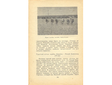 196.jpg