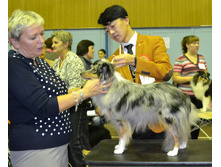 ���� �����