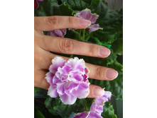 �� �������� �������