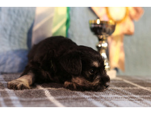 ��� ����� �-�.JPG