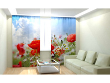 ������ ����.jpg