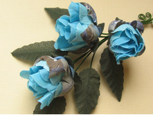 �������� "���� ���������"