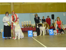 2 ������