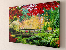 ���� � ����.jpg