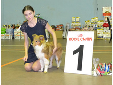 ���� �����