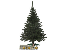 ��� ���������.jpg