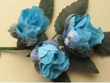 �������� "���� ���������"