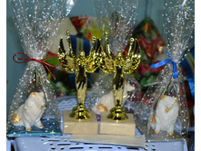 �������� ����