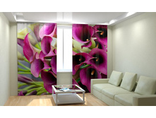 ��������� �����.jpg