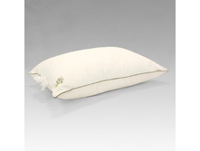 ������� ���� ����������.jpg