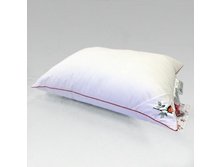 ������� ��������� ����.jpg