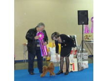 DSCN6218.jpg