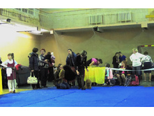 DSCN6035.JPG