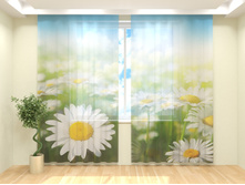 ���������� ���.jpg