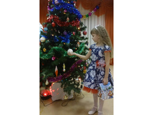 �������� ann2931