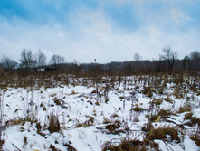 ������ ������� 2015-79.jpg