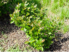 ��������� ���������.jpg