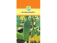 ������ ����� F1 36,00+%