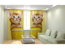 ������� �����.jpg