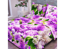 ���� B63.jpg