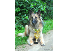 �� �������� (3-� �����)