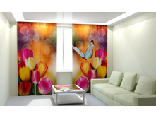 �������� � ��������.jpg