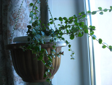 �������� ��������