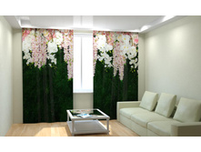 ������ ����.jpg