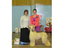 10 ������