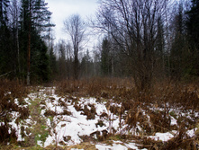 ������ ������� 2015-134.jpg