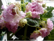 ��-�����