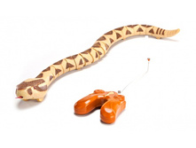 ������� ������� �� ���������������