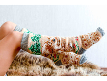 ������� ��������� ������ �������