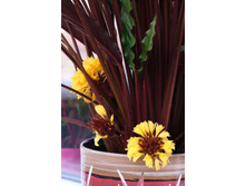 ������� ���������