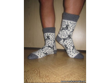 ������� ��������� ����� �������� ����� � ��������(�����)