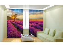 ��������� ����.jpg