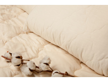 ��������� ���� � ������ ������.jpg