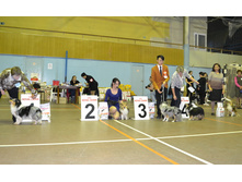 ���� �����