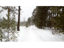 IMG 20151226 135606.jpg